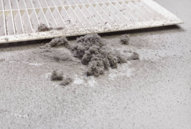 Lake Holiday, IL Airduct Cleaning Pros