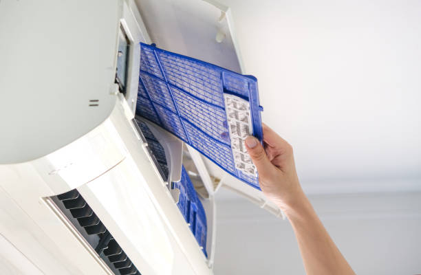 Best Professional Duct Cleaning Services  in Lake Holiday, IL
