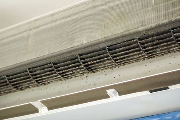 Best Ventilation Cleaning Services  in Lake Holiday, IL
